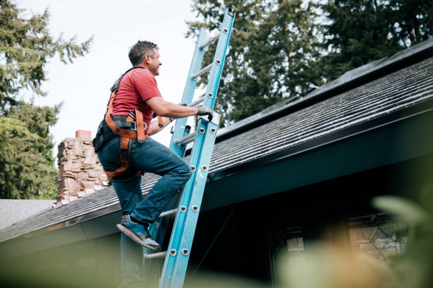 Best Skylight Installation and Repair  in Santa Rosa, CA